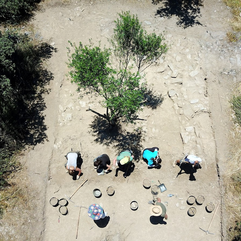 South-West Archaeology Digs (SWAD)