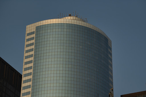 Tourist Attraction «Sussex County Sunflower Maze», reviews and photos, 101 Co Rd 645, Sandyston, NJ 07826, USA