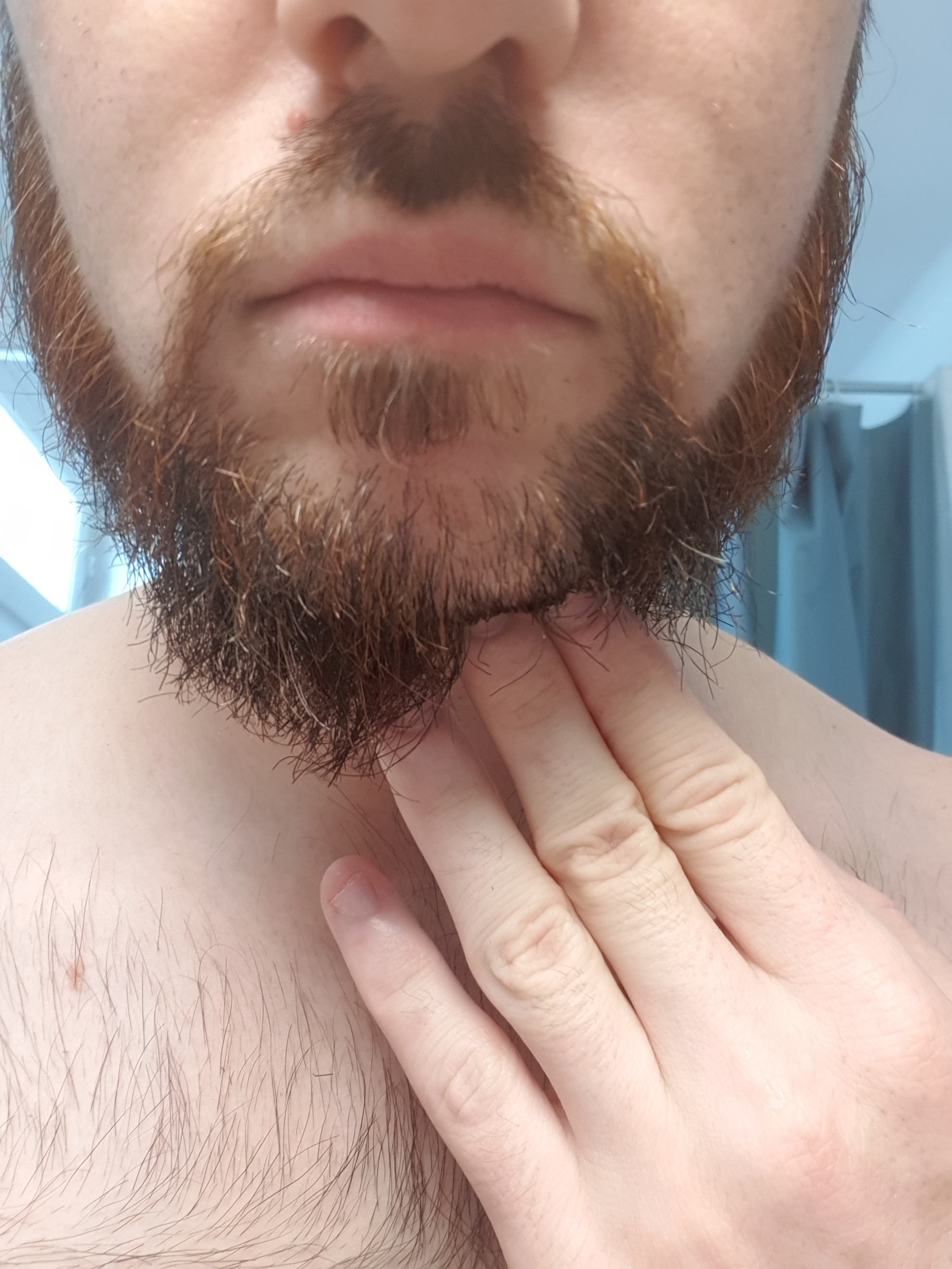 Photo n° 1 de l'avis de Louis.a fait le 23/08/2021 à 11:53