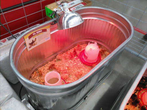 Home Improvement Store «Tractor Supply Co.», reviews and photos, 10801 Colonel Glenn Rd, Little Rock, AR 72204, USA