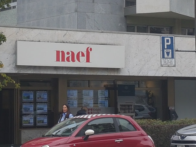 Naef Immobilier Genève SA - Genf