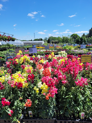 Florist «Pletschers», reviews and photos, 641 Old Hwy 8 SW, New Brighton, MN 55112, USA