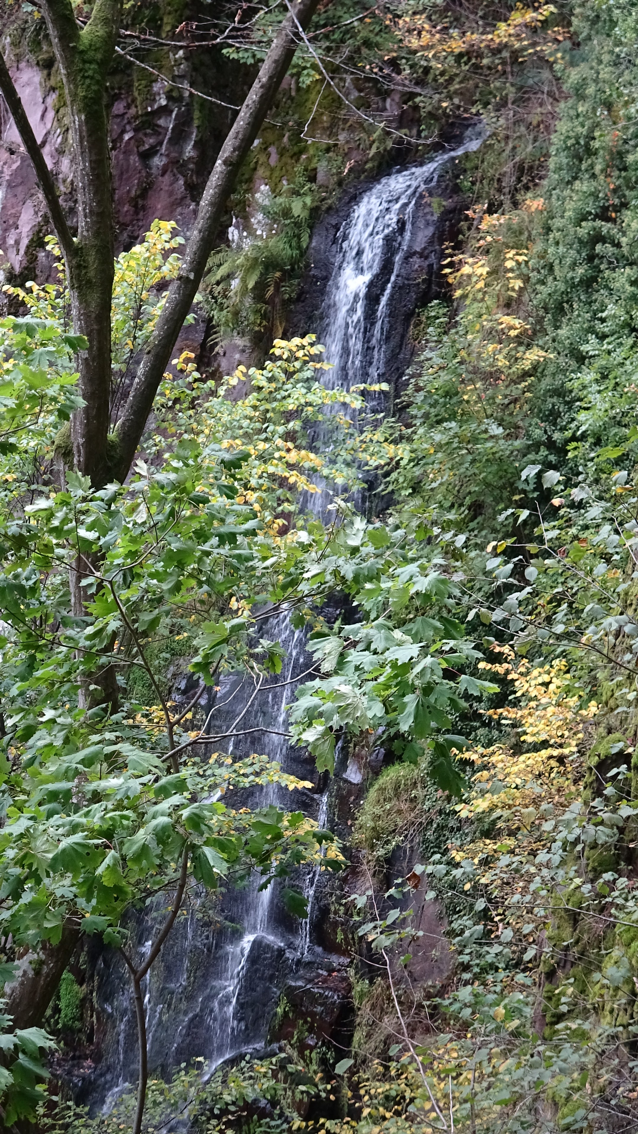 Photo n° 1 de l'avis de Marc.A fait le 31/08/2021 à 11:07