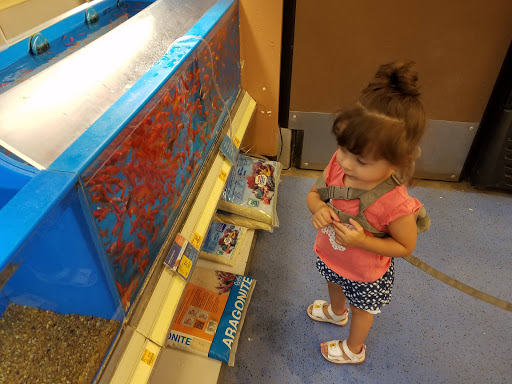 Pet Supply Store «PetSmart», reviews and photos, 625 Baltimore Blvd, Westminster, MD 21157, USA