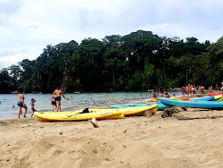Punta de Vista beach'in fotoğrafı ve güzel manzarası