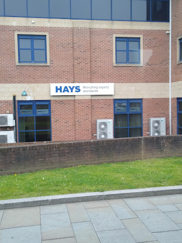 Hays Swansea - Employment agency