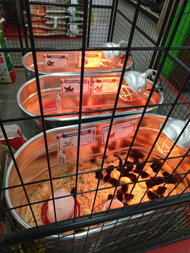 Home Improvement Store «Tractor Supply Co.», reviews and photos, 1161 Broadway, Bangor, ME 04401, USA