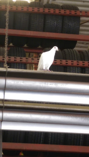 Tire Shop «Discount Tire Store - Chesterfield, MI», reviews and photos, 28366 23 Mile Rd, Chesterfield, MI 48051, USA