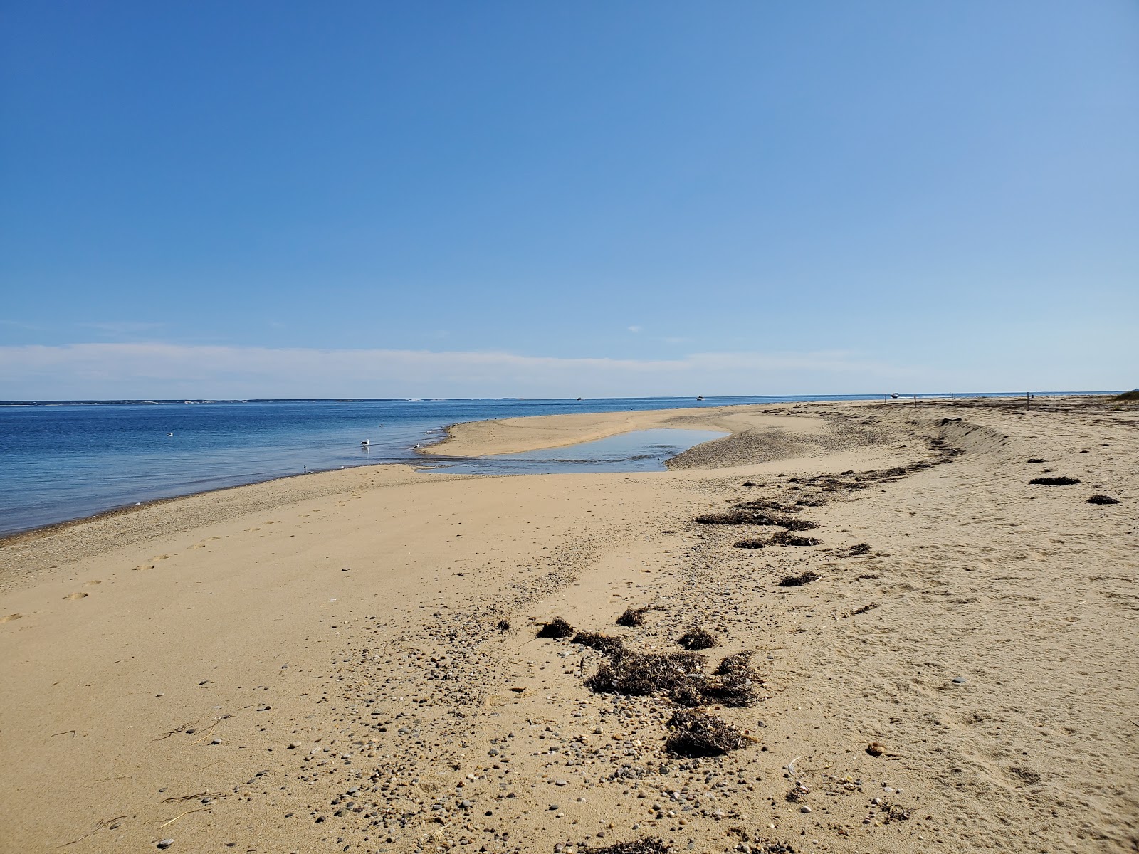 Valokuva Long Point beachista. pinnalla kirkas hiekka:n kanssa