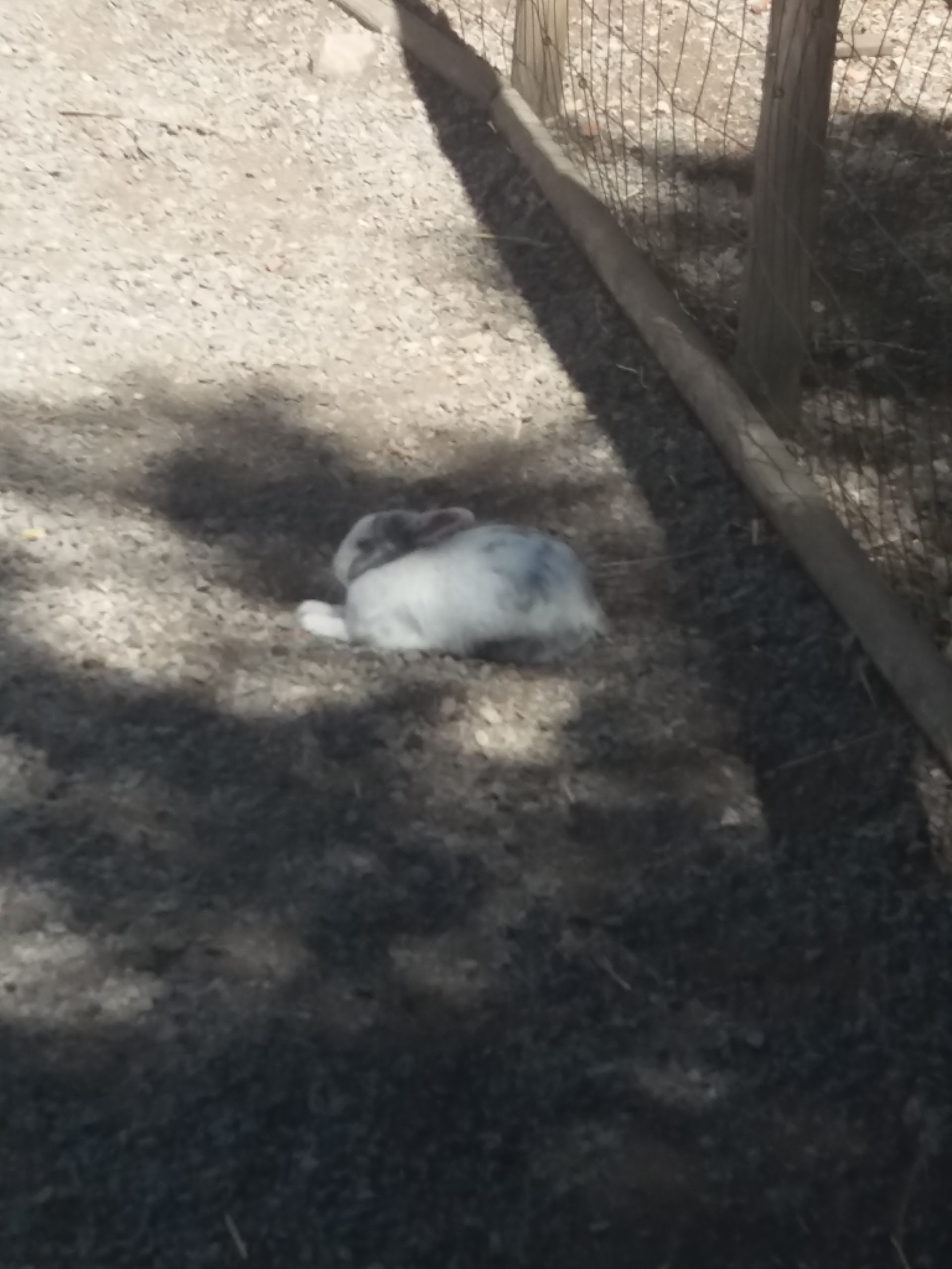 Photo n° 29 de l'avis de Damien.i fait le 21/08/2017 à 19:35