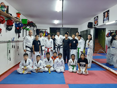 Fertex Taekwondo Asociación sede Santa Rosa