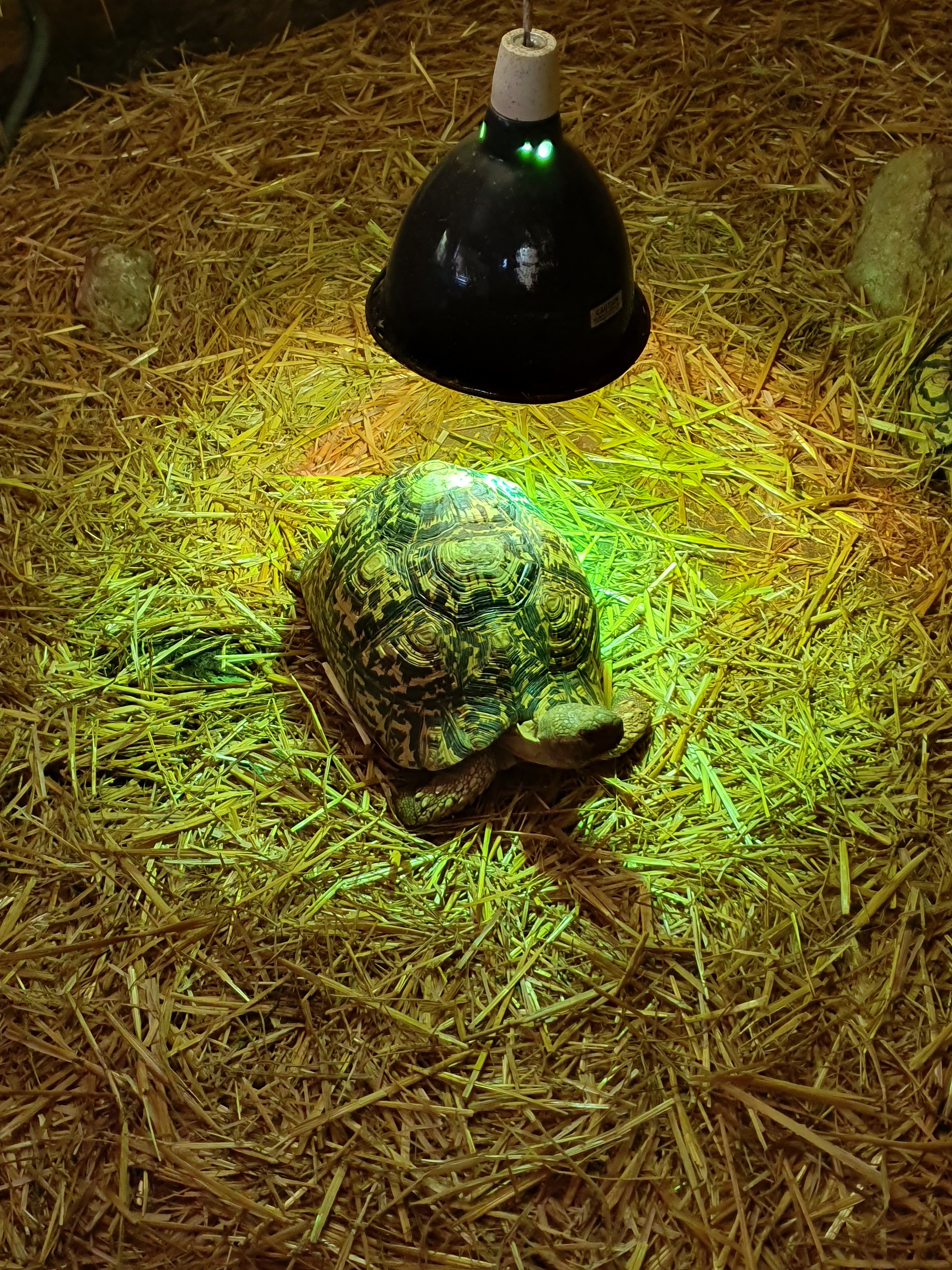 Photo n° 10 de l'avis de Laetitia.o fait le 20/10/2019 à 17:56