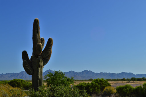 Golf Course «Talking Stick Golf Club», reviews and photos, 9998 E Indian Bend Rd, Scottsdale, AZ 85256, USA