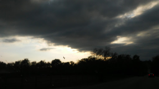 Golf Course «Page Belcher Golf Course», reviews and photos, 6666 S Union Ave, Tulsa, OK 74132, USA