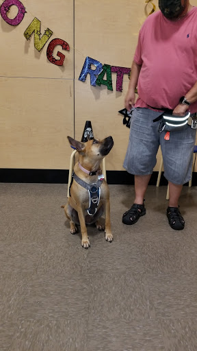 Pet Supply Store «PetSmart», reviews and photos, 849 E 23rd St, Panama City, FL 32405, USA