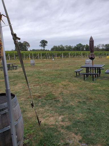 Winery «Sugarloaf Mountain Vineyard», reviews and photos, 18125 Comus Rd, Dickerson, MD 20842, USA
