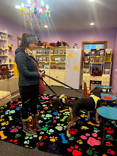 Drool Central: A Mum & Pup Barkery LLC