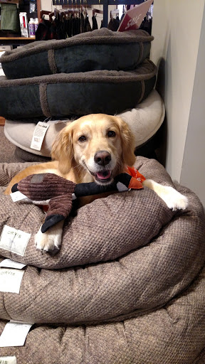 Clothing Store «Orvis», reviews and photos, 11800 W Broad St Suite 1650, Richmond, VA 23233, USA