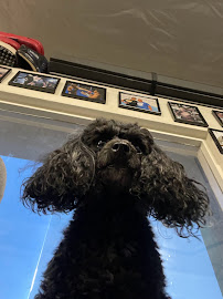 EBUILT fitness - Photo 4 - Car repair in Mountain View, CA, Fremont