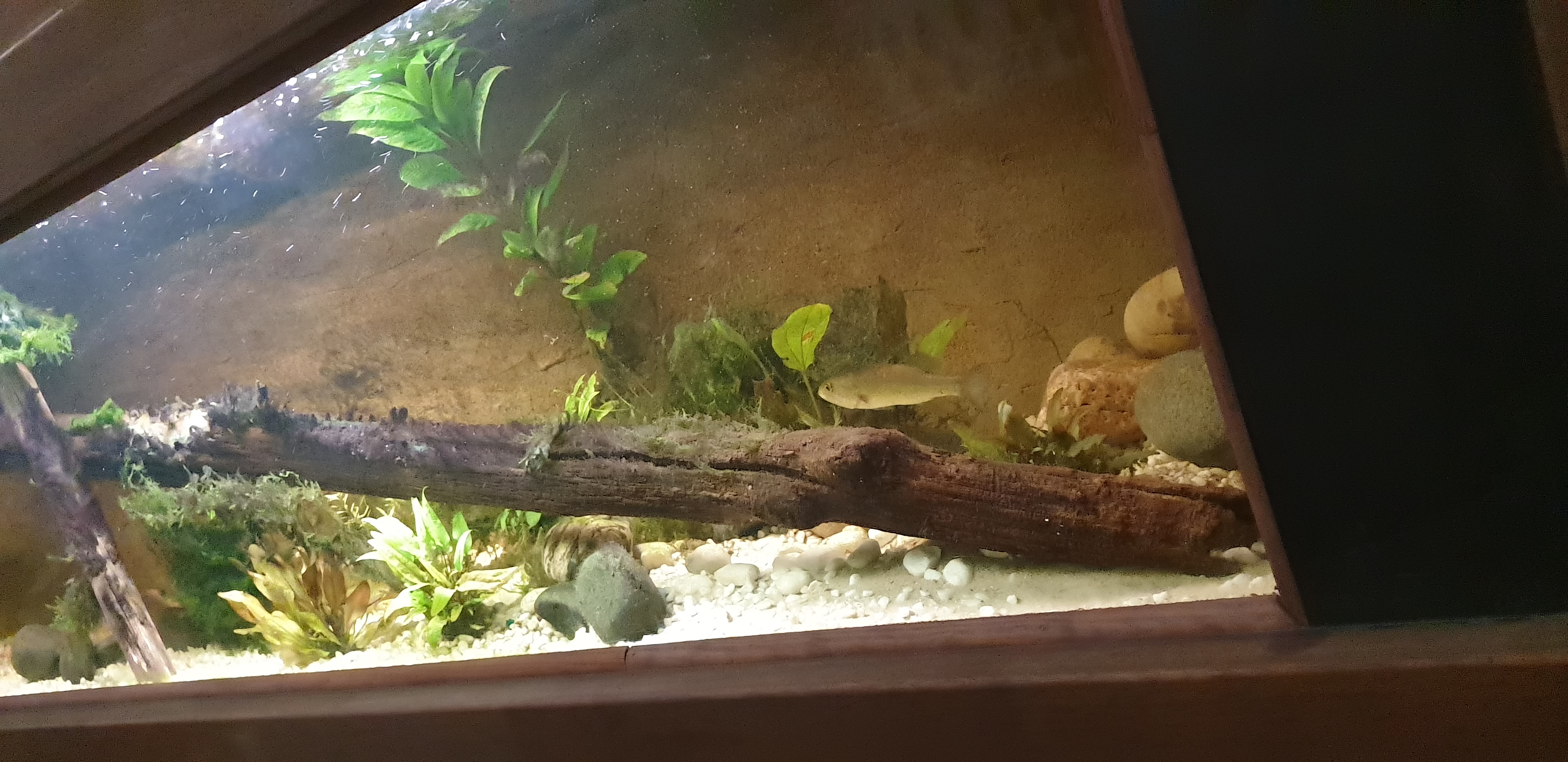 Photo n° 6 de l'avis de Alstéïs. fait le 19/08/2020 à 16:23