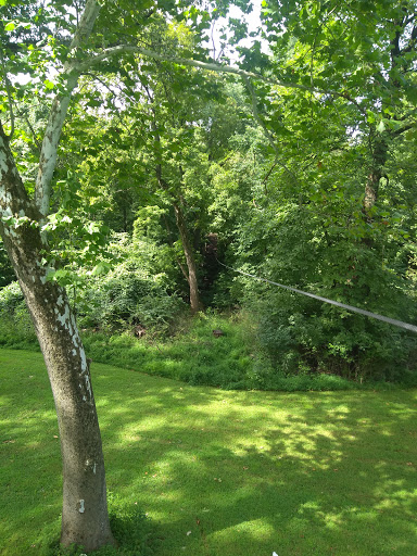 Recreation Center «Go Ape Zip Line & Treetop Adventure - Creve Coeur Park», reviews and photos, 13219 Streetcar Dr, Maryland Heights, MO 63043, USA