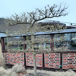 Photo n°5 de l'avis de Marcus.. fait le 22/03/2023 à 15:54 sur le  Hotel & Restaurant Landhaus Eden à Soltau