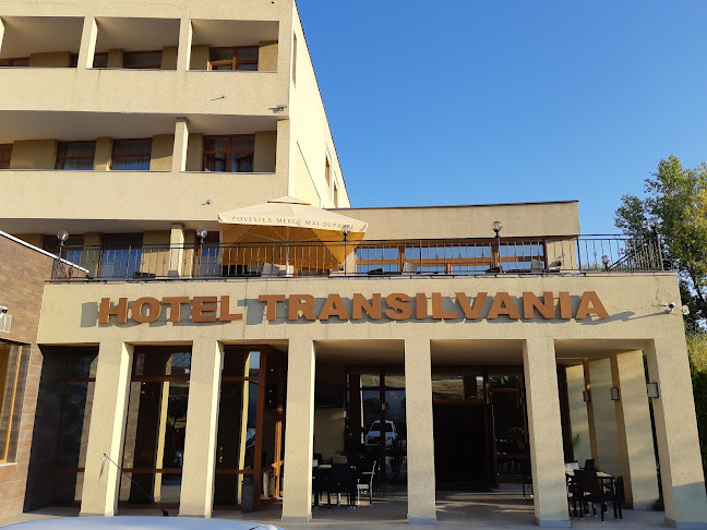 Hotel Transilvania, Bulevardul Mihai Viteazul, DN1F 100 I, DN1F 100 I, Zalău 450090, România