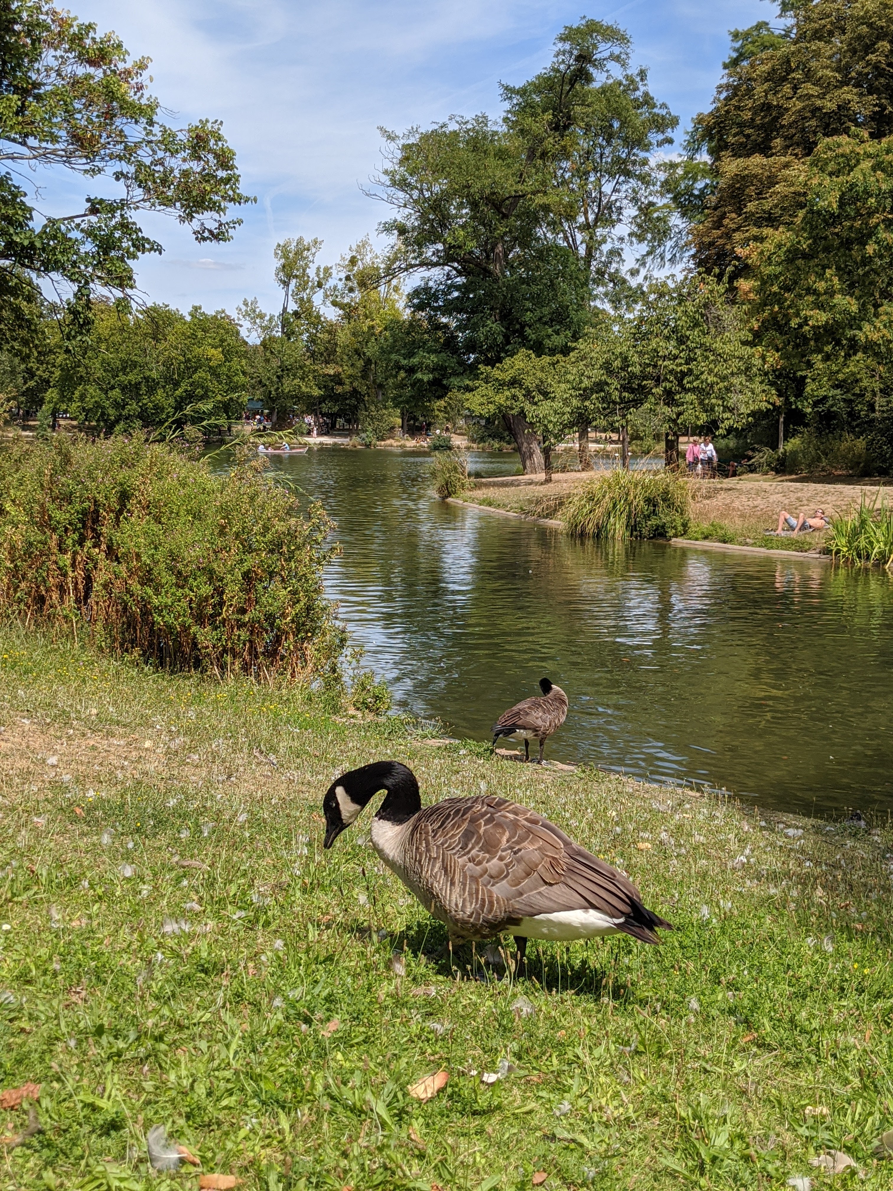 Photo n° 9 de l'avis de Ido.a fait le 02/08/2020 à 14:34