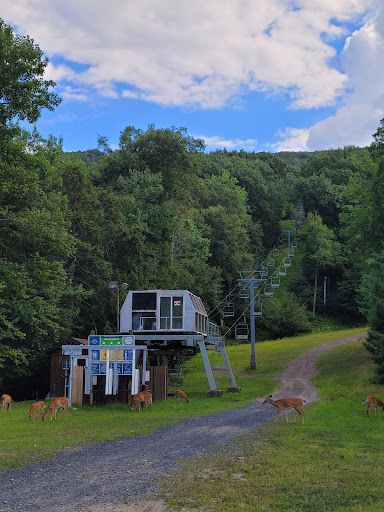 Tourist Attraction «Camelback Mountain Adventures», reviews and photos, 243 Resort Dr, Tannersville, PA 18372, USA