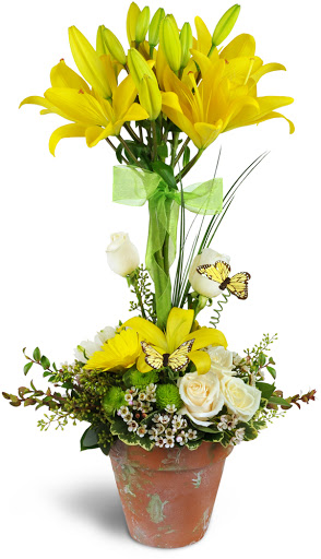 Florist «Vestals Florist», reviews and photos, 3001 Pinecroft Rd, Greensboro, NC 27407, USA