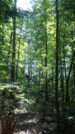 Recreation Center «Go Ape Zip Line & Treetop Adventure - Freedom Park», reviews and photos, 5537 Centerville Rd, Williamsburg, VA 23188, USA
