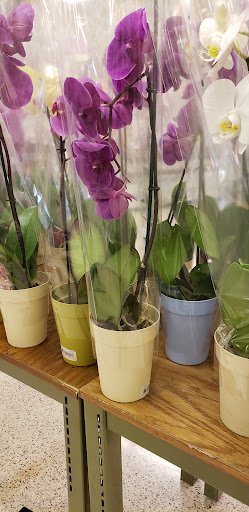 Supermarket «Publix Super Market at Eureka Promenade», reviews and photos, 18280 SW 147th Ave, Miami, FL 33187, USA