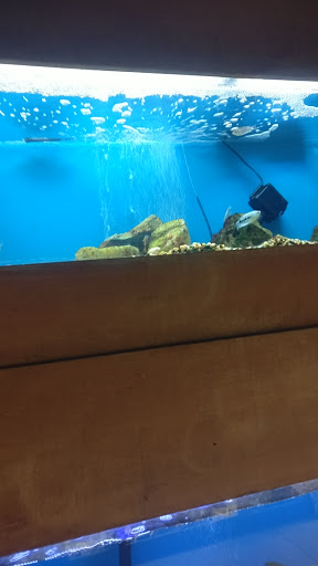 Pet Store «Pet World Warehouse Outlet», reviews and photos, 2984 S 108th St, Milwaukee, WI 53227, USA