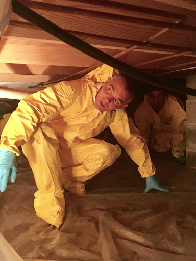 Fire Damage Restoration Service «Michaelis Corporation», reviews and photos, 2601 E 56th St, Indianapolis, IN 46220, USA