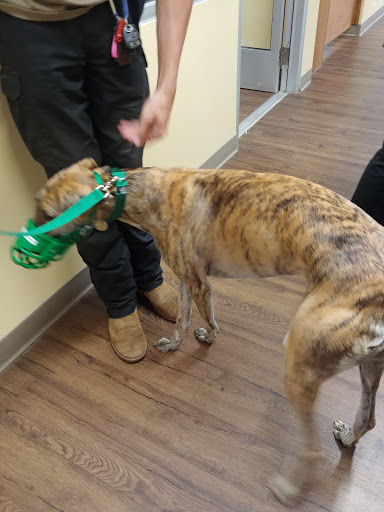 Pet Supply Store «PetPeople», reviews and photos, 3330 Washtenaw Ave, Ann Arbor, MI 48104, USA