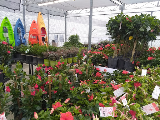 Department Store «Walmart Supercenter», reviews and photos, 2014 S Irby St, Florence, SC 29505, USA