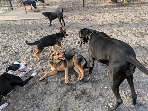 Park «Al Helms Dog Park», reviews and photos, 1022 Balboa Ave, Panama City, FL 32401, USA