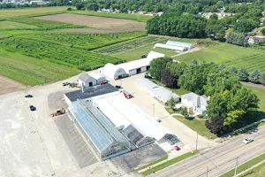 Selmi's Greenhouse, Sweet Corn, Pumpkin Patch and Orchard image