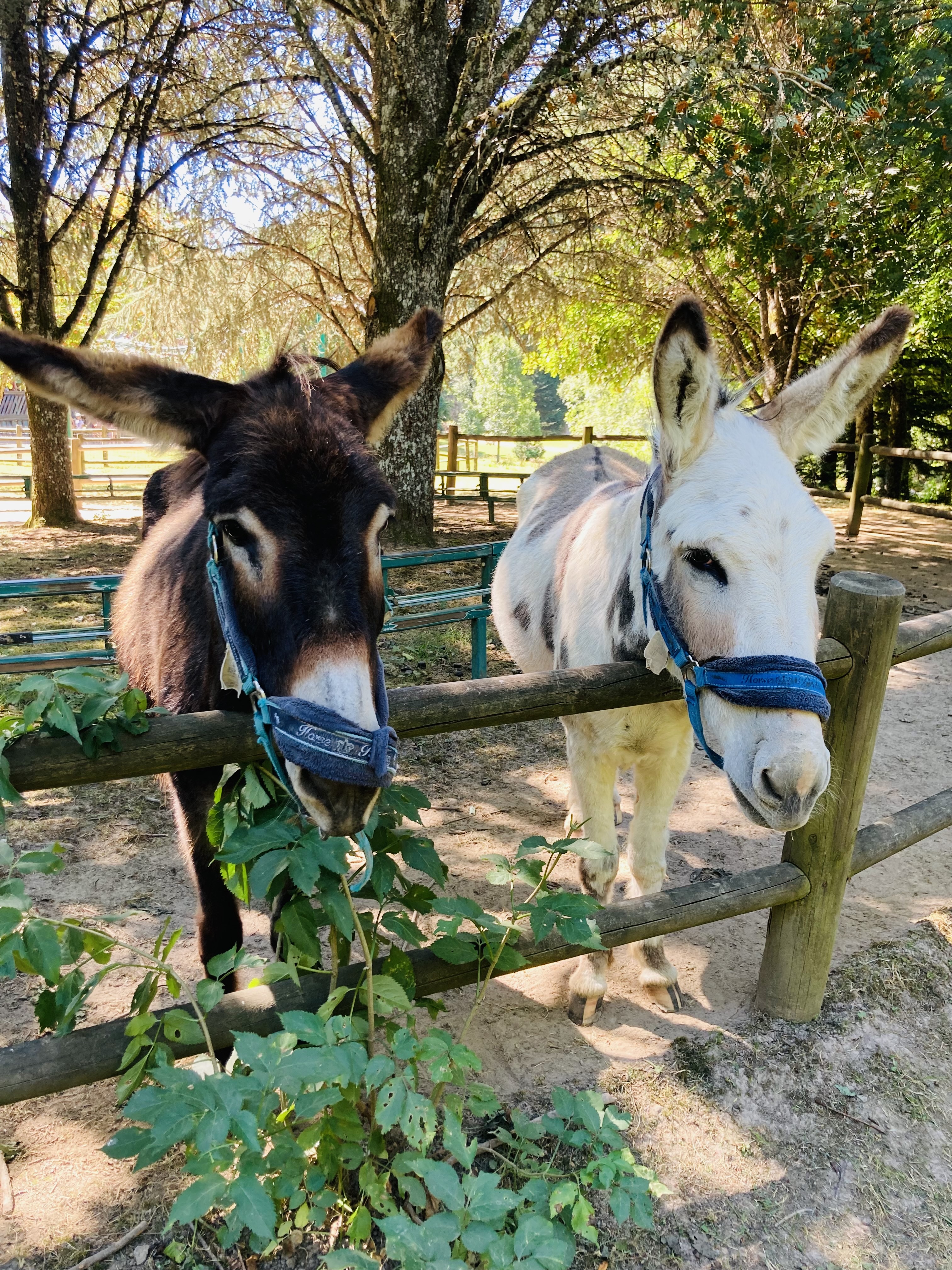 Photo n° 4 de l'avis de Dephine.a fait le 12/08/2022 à 06:28