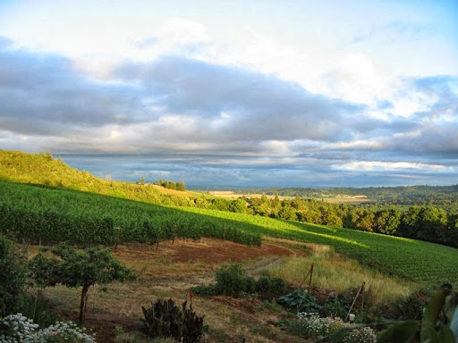 Winery «Bethel Heights Vineyard», reviews and photos, 6060 Bethel Heights Rd NW, Salem, OR 97304, USA