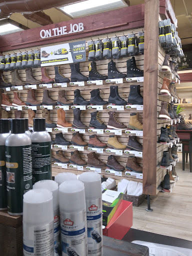 Shoe Store «Santa Rosa Shoes», reviews and photos, 2255 Cleveland Ave, Santa Rosa, CA 95403, USA