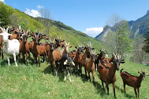 La Ferme du Petit Mont image