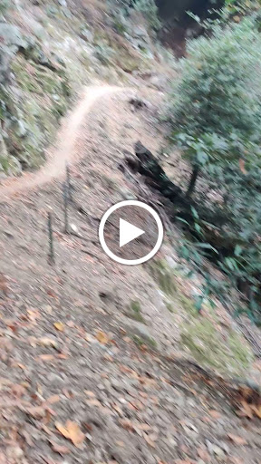 Pet Store «Pet Town», reviews and photos, 7804 Florence Ave, Downey, CA 90240, USA