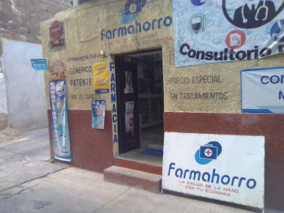 Farmahorro Calle Camelia 18, Los Bóveda, 42440 Tecozautla, Hgo. Mexico