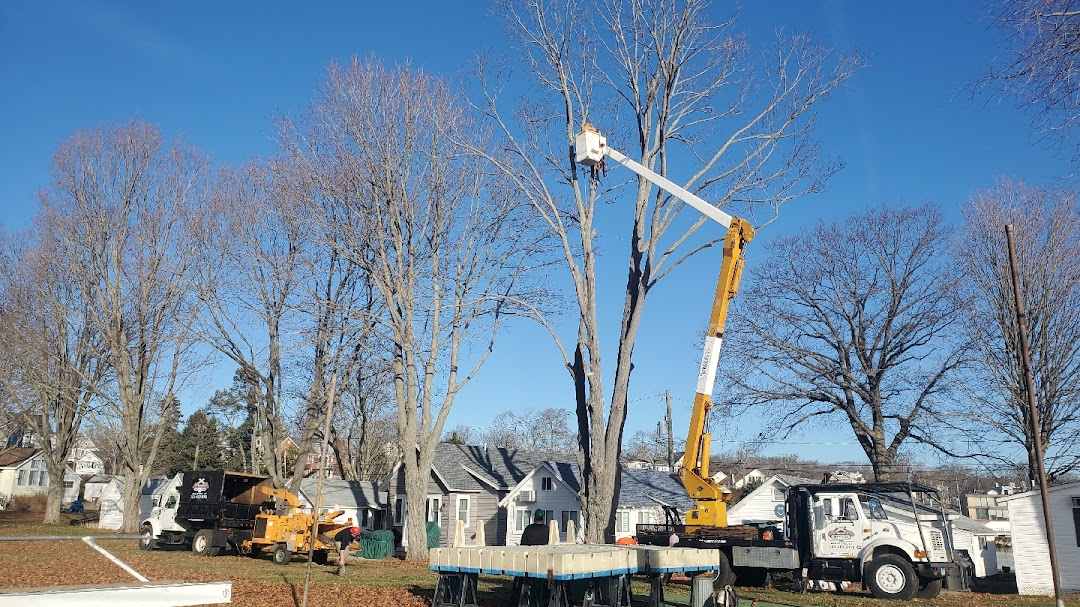 Freds Tree Removal LLC