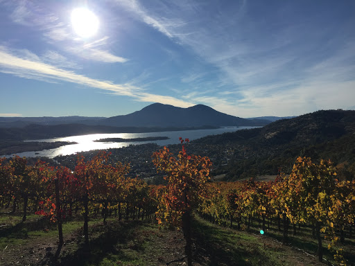 Winery «Stephen & Walker Winery», reviews and photos, 243 Healdsburg Ave, Healdsburg, CA 95448, USA