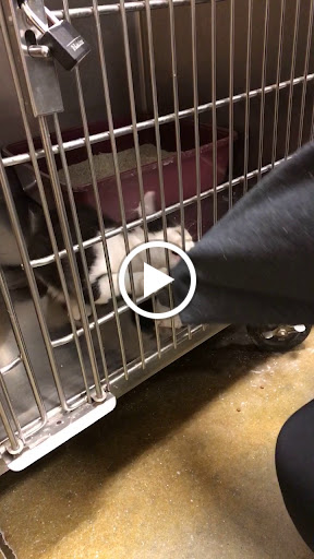 Pet Supply Store «PetSmart», reviews and photos, 5810 Antioch Rd, Merriam, KS 66202, USA