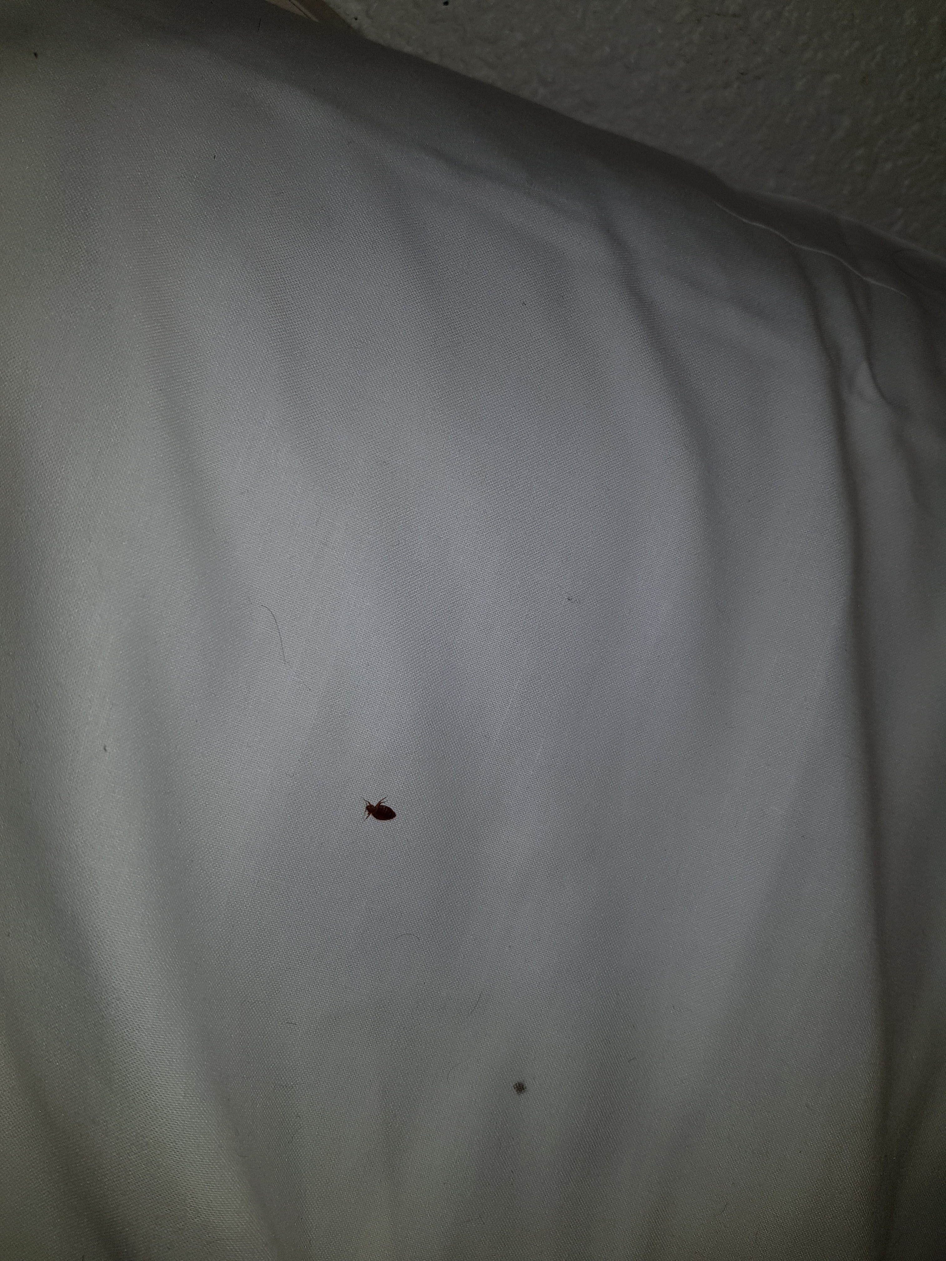 Photo n° 3 de l'avis de Franc.u fait le 04/06/2019 à 08:42