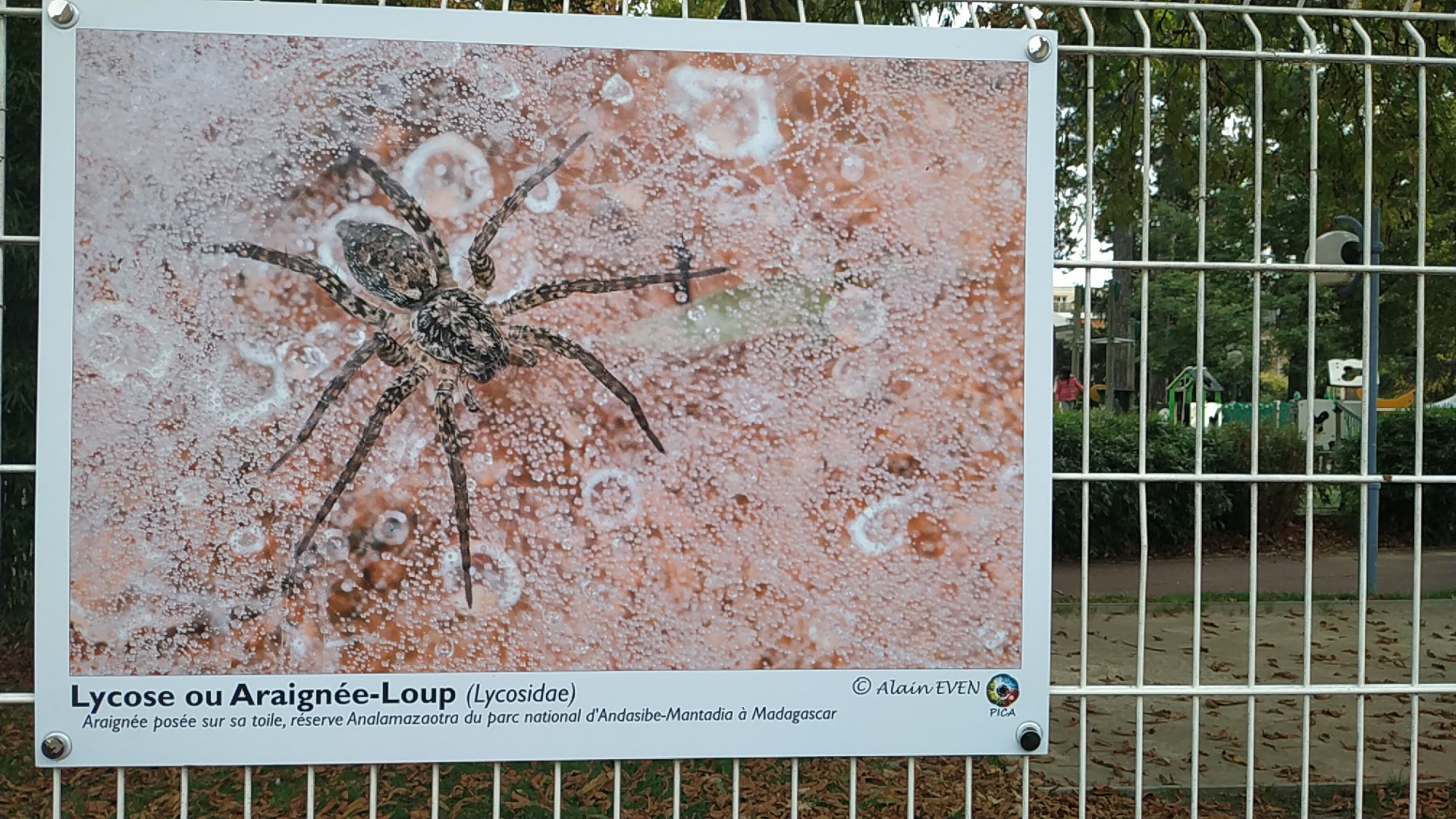 Photo n° 9 de l'avis de Mary-an.r fait le 17/10/2021 à 11:49