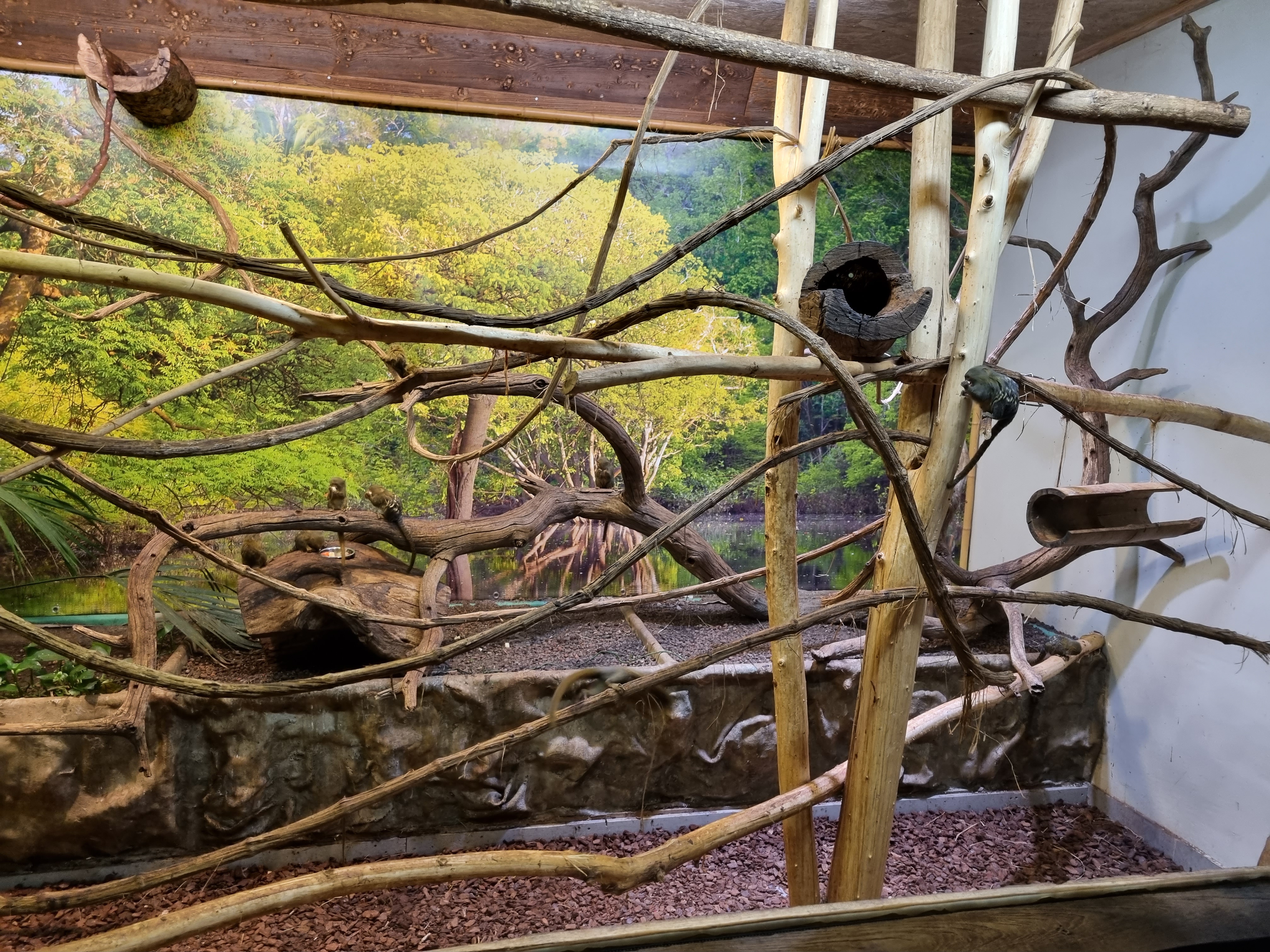 Photo n° 13 de l'avis de alexandre.o fait le 25/08/2022 à 15:51